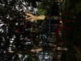 /album/fotogaleria-mis-visitas/cimg0974-jpg/
